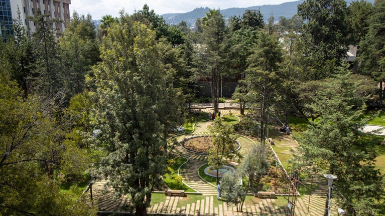 Aerial view of the Tsegereda Garden, Addis Ababa, Ethiopia